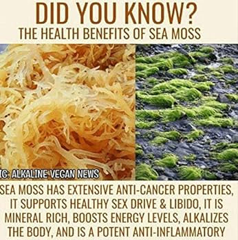 Sea Moss Dried | Gold Sea Moss | Organic Raw SeaMoss| Ocean Grown Certified Proof Sun-Dried