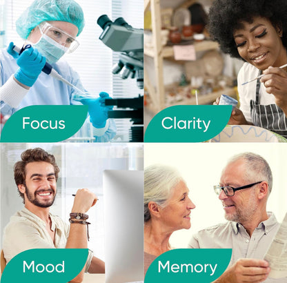 Brain Tea| 🧠 Focus, Acuity, Memory |14 Day Supply