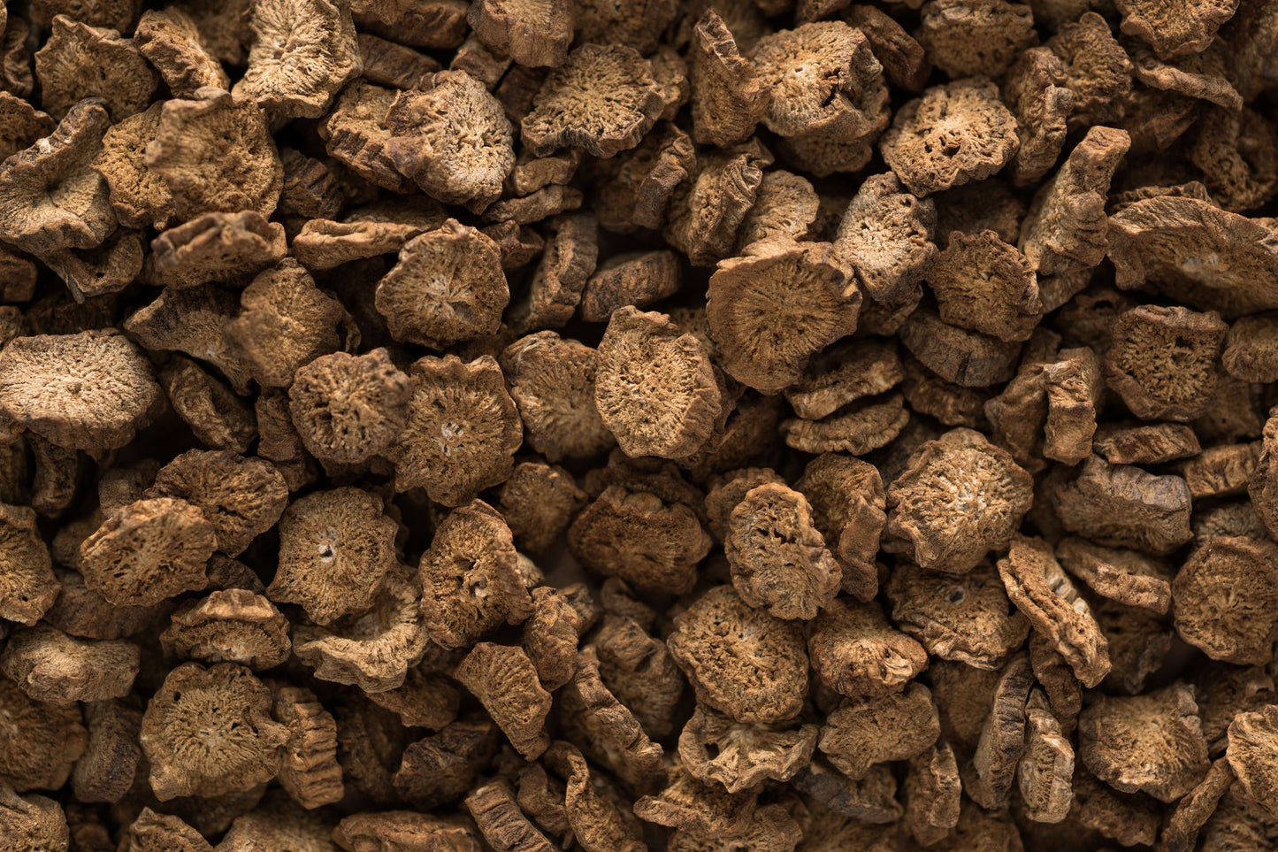 Burdock Root