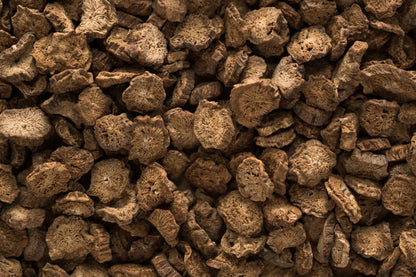 Burdock Root