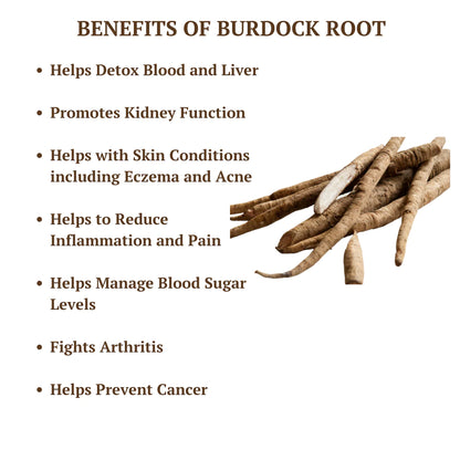 Burdock Root